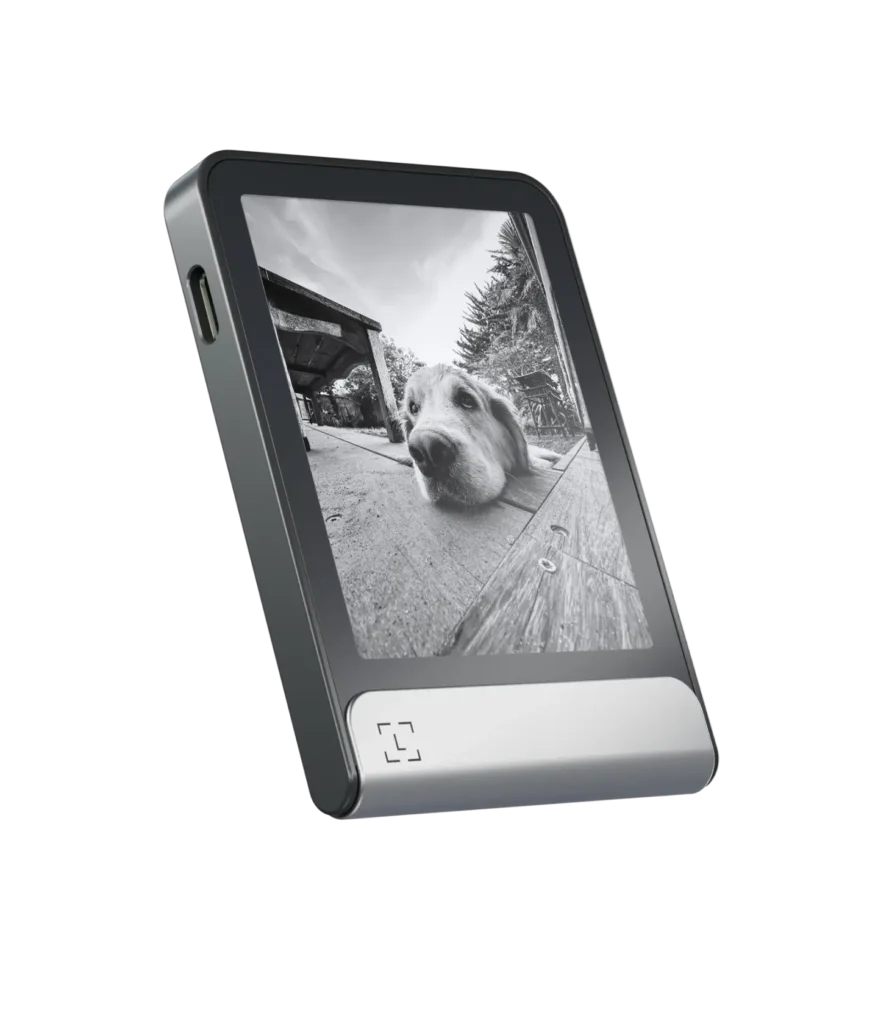 Customizable Ledger Flex