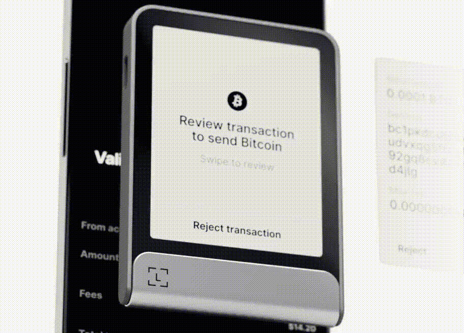 Ledger Flex security