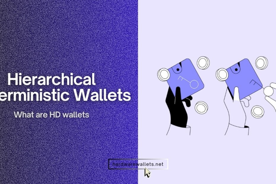 What are Hierarchical Deterministic (HD) Wallets