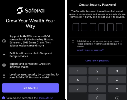 SafePal create security password